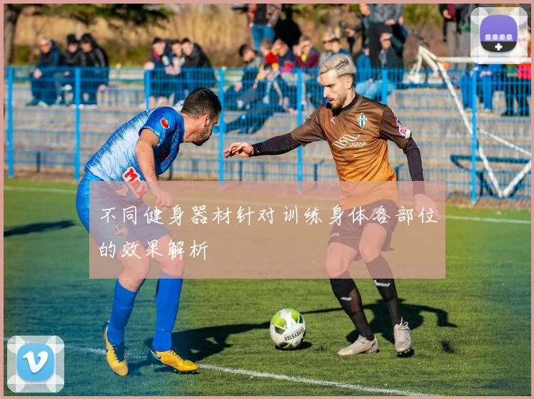 不同健身器材针对训练身体各部位的效果解析