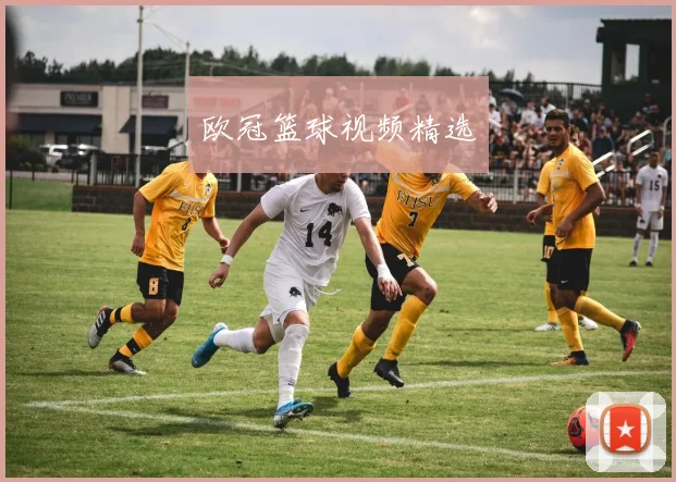 欧冠篮球视频精选