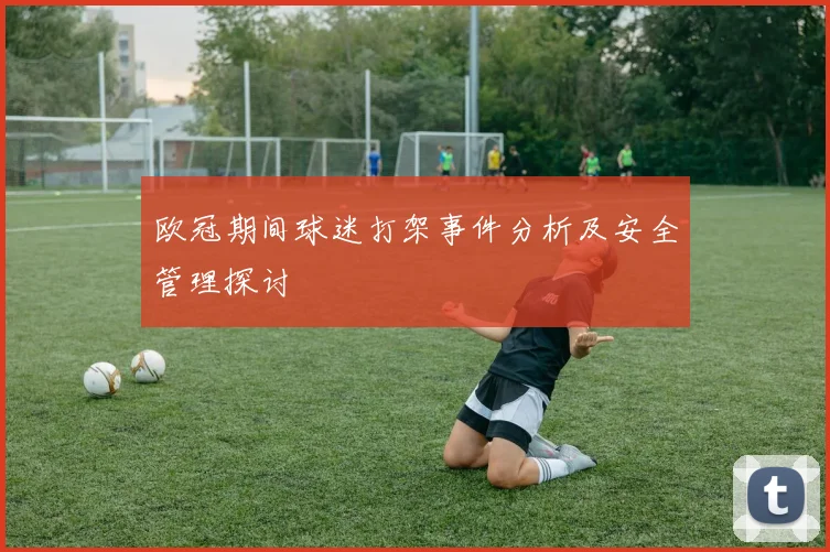 欧冠期间球迷打架事件分析及安全管理探讨